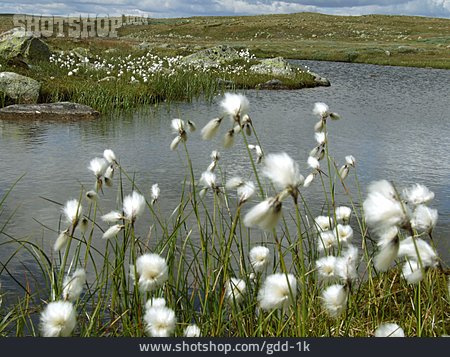 
                Reise & Urlaub, Norwegen                   