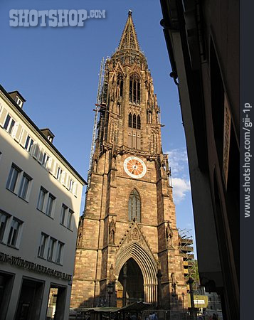
                Freiburger Münster                   