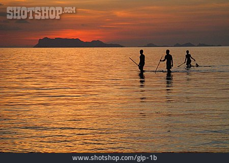 
                Meer, Silhouette, Fischer                   