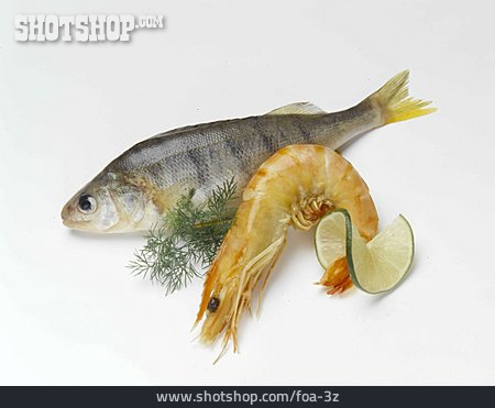 
                Fisch, Meeresfrüchte, Schrimps                   
