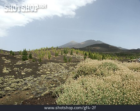 
                Landschaft, Teide, Vulkanlandschaft                   