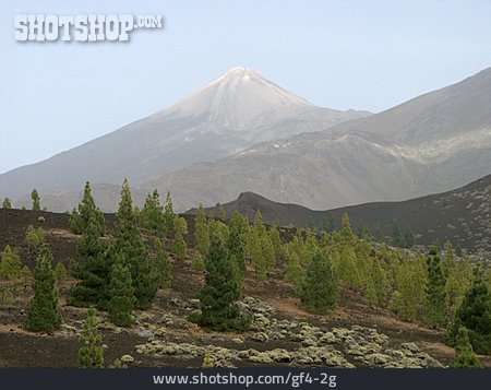 
                Landschaft, Vulkan, Teide                   