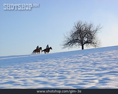 
                Winter, Reiten, Reiter                   