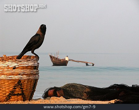 
                Strand, Korb, Krähe, Indien                   