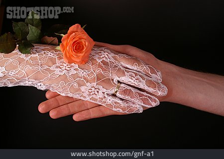 
                Hochzeit, Handschuh, Spitzenhandschuh                   