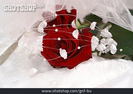 
                Blüte, Hochzeit, Stoff, Rote Rose                   