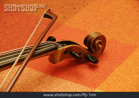 
                Violin                   