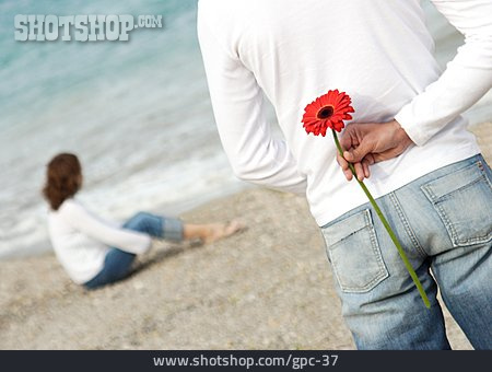 
                Frau, Mann, Liebe, überraschung, Strand, Blume                   