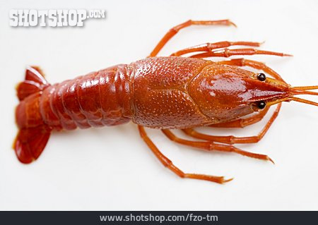 
                Seafood, Shrimp                   