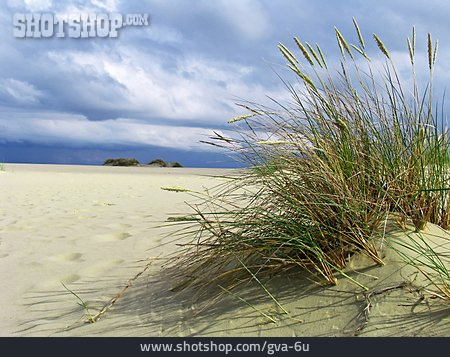 
                Strand, Sand, Gräser, Dünen                   
