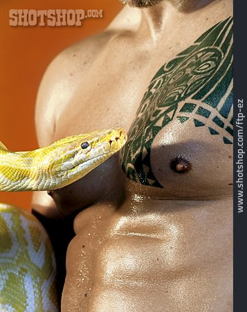
                Tattoo, Python, Nackter Oberkörper                   