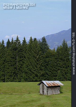
                Nadelbaum, Holzhütte                   