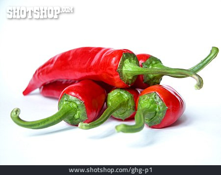 
                Chillischote                   