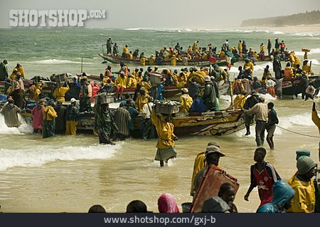 
                Fischer, Senegal                   