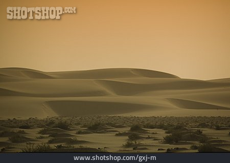
                Sonnenaufgang, Wüste, Mauretanien                   