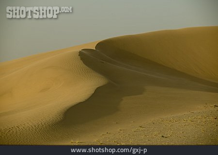 
                Wüste, Düne                   