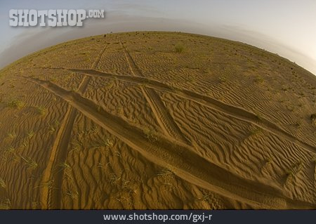 
                Wüste, Reifenspur                   
