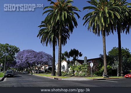 
                Straßenkreuzung, Kalifornien, Hollywood                   