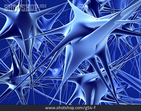 
                Neuron, Nervenzelle, Zellkörper, Nervensystem                   