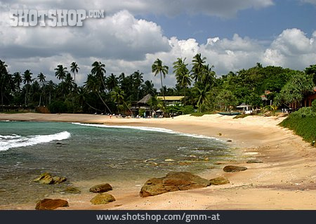 
                Strand, Palmenstrand, Sri Lanka                   