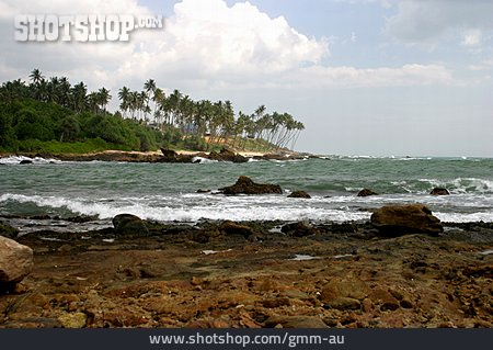 
                Küste, Palmenstrand, Sri Lanka                   