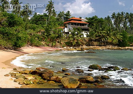 
                Strand, Palmenstrand, Sri Lanka                   
