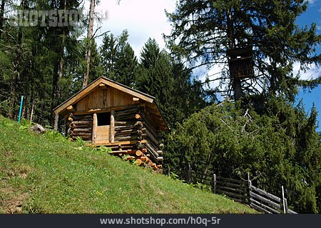 
                Natur, Hütte, Holzhütte                   