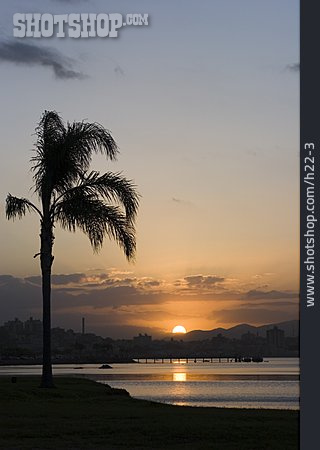 
                Sonnenuntergang, Palme, Santa Catarina                   