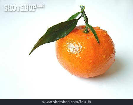 
                Obst, Mandarine, Clementine                   