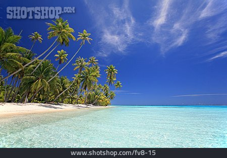 
                Strand, Palme, Südsee, Traumstrand, Cook Islands                   