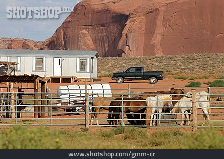 
                Pferd, Utah, Ranch                   