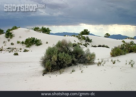 
                Düne, White Sands, Chihuahua-wüste                   