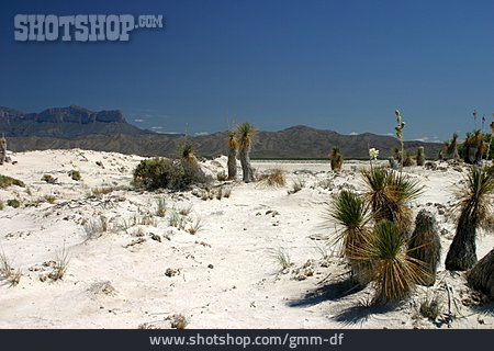 
                White Sands, Chihuahua-wüste                   