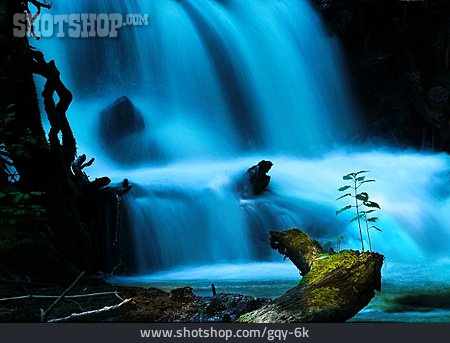 
                Wasserfall, Baumstamm, Fluss                   