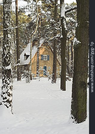 
                Wald, Winterlandschaft, Haus                   
