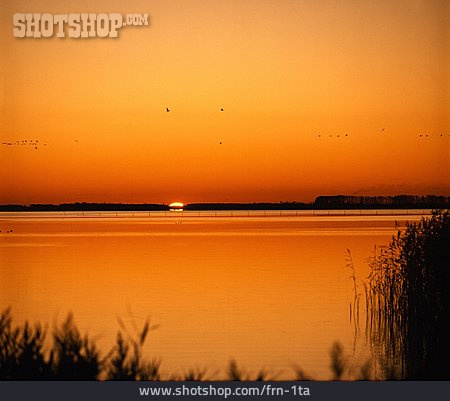 
                Sonnenuntergang, See, Zugvogel                   