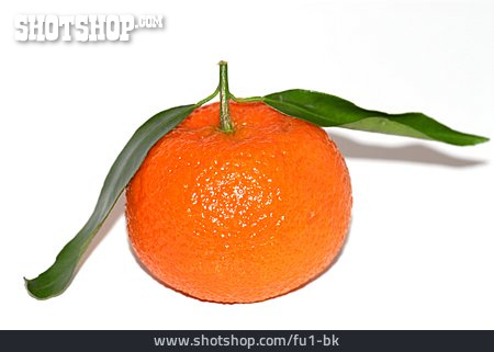 
                Blatt, Mandarine                   