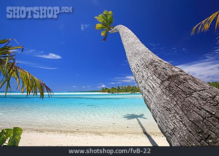 
                Reise & Urlaub, Strand, Palmen, Polynesien                   