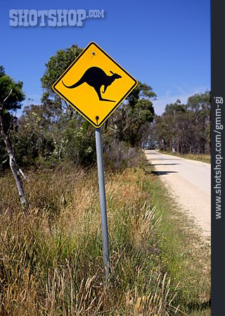 
                Warnschild, Känguru, Australien, Wildwechsel                   
