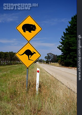
                Känguru, Australien, Wildwechsel, Wombat                   