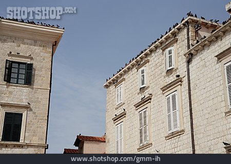 
                Altstadt, Kroatien, Dubrovnik                   