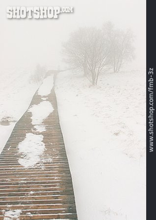 
                Winter, Nebel                   