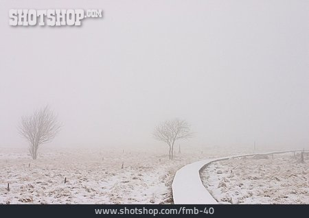 
                Weg, Winter, Nebel, Schnee                   