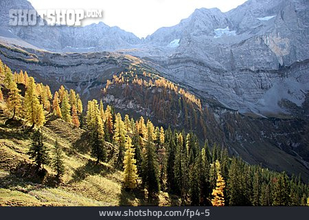 
                Mountain Range, Autumn, Larch Forest                   