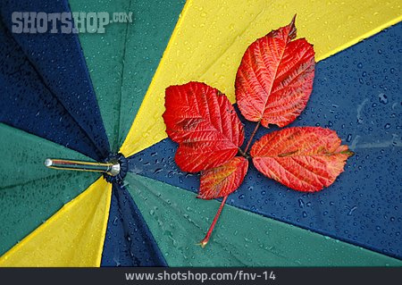 
                Herbst, Regenschirm, Regenwetter                   
