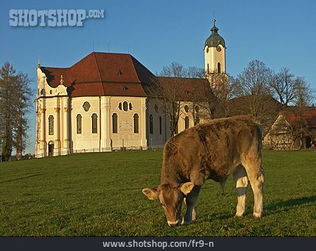 
                Wieskirche, Pfaffenwinkel                   