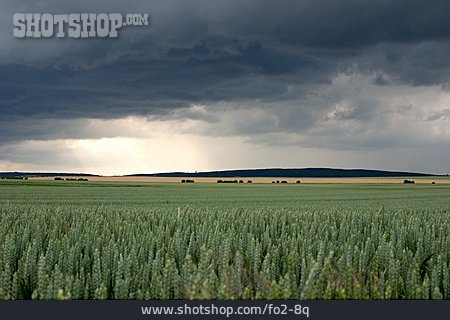 
                Gewitterwolke, Landwirtschaft, Getreide                   