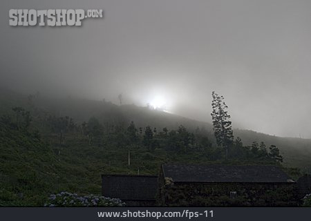
                Nebel, Sao Miguel, Azoren                   