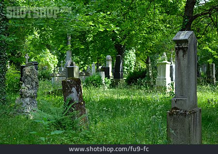 
                Friedhof, Grabstein, Verwildert                   