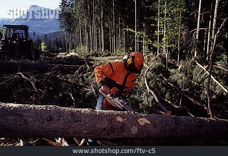 
                Arbeit & Beruf, Sägen, Waldarbeiter                   